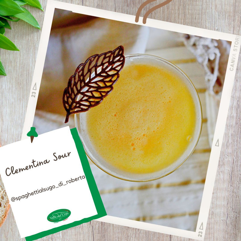 Clementina Sour | Cocktail analcolico - Valle del Crati