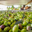 Olio Extravergine di Oliva in latta