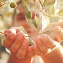 Olio Extravergine di Oliva in latta