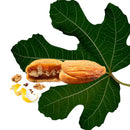 Fichi alle Noci - Valle del Crati