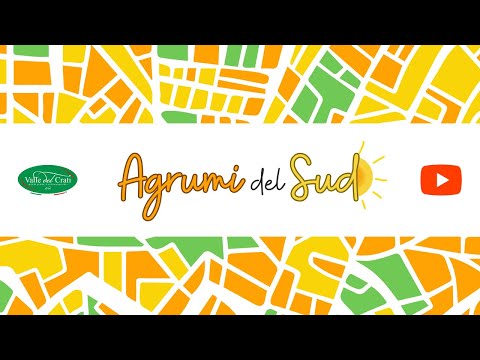 Box Agrumi del Sud